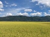安曇野観光１日モデルコース