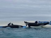 ２０２４年の梅雨入りはいつ？梅雨の時期もおすすめな水族館
