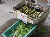 ちょっと風変わりな天城越え＆冷んやり休暇村