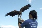 新幹線とレンタカーで那須高原1泊2日旅！グルメは穴場も紹介！