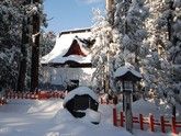 2026年は午年！羽黒山「午歳御縁年」と全国“うま”ゆかり旅