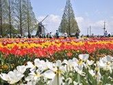 四季折々の花が楽しめるスポット「あけぼの山公園」