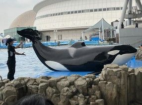 暑い夏でも行きたくなる!水族館のススメ ~中部地方~