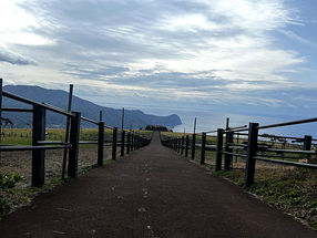 青ヶ島だけじゃもったいない！復幸割で巡る八丈島旅