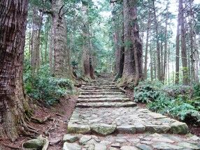和歌山グルメとくじらとの出会い~~南紀の旅~~