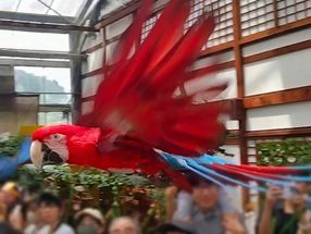 「掛川花鳥園」は鳥好きにはたまらない最高の非日常空間でした!