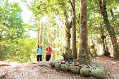 世界遺産「熊野古道」南紀勝浦の旅。絶景の露天風呂・満天の星も