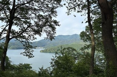 ナウマンゾウの住んでいた信濃町・野尻湖