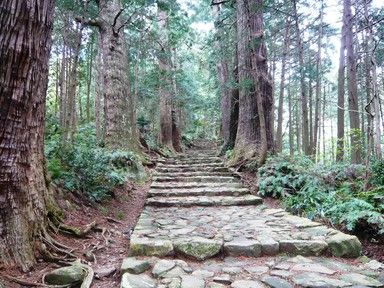 和歌山グルメとくじらとの出会い～～南紀の旅～～