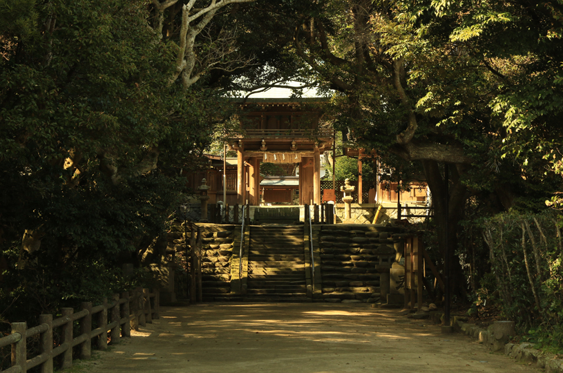 画像2