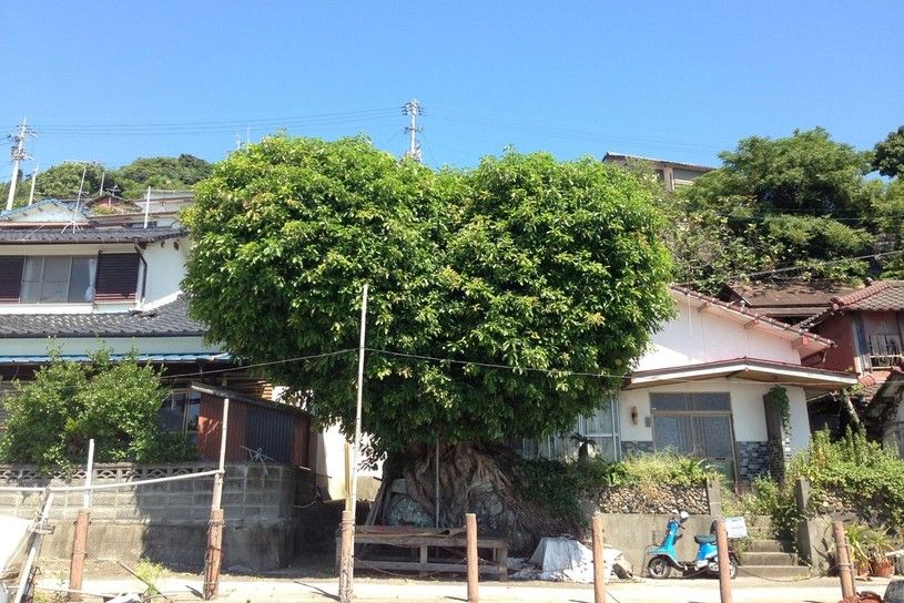 画像5