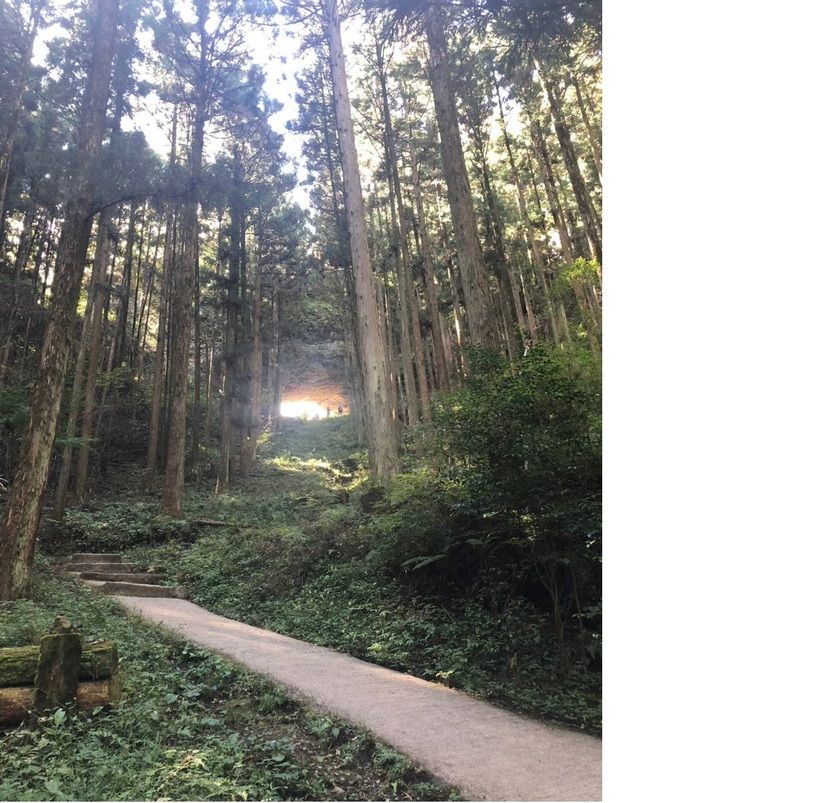 画像2