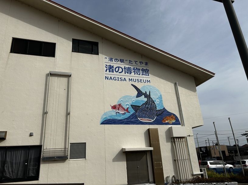 画像1