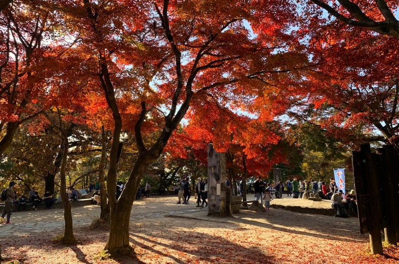 画像1