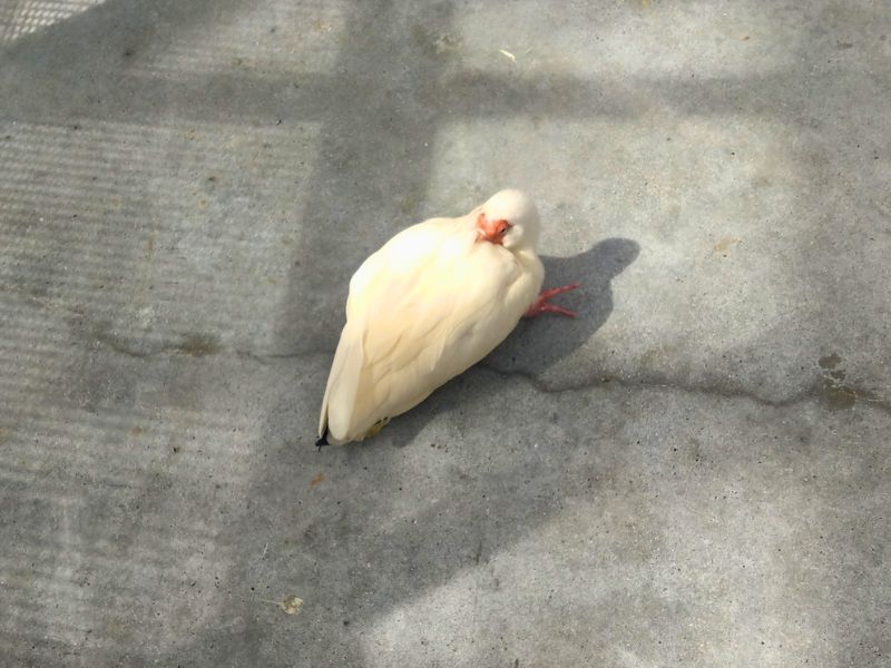 画像5