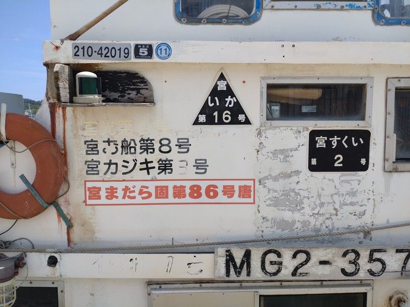 画像4