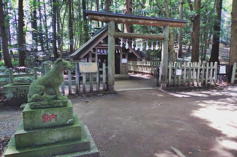 画像5