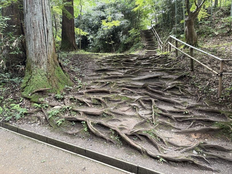 画像4