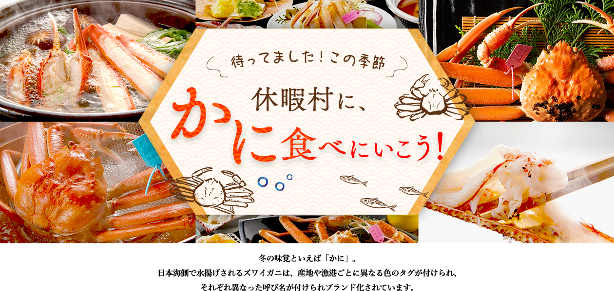 日本海にズワイガニを食べに行こう！