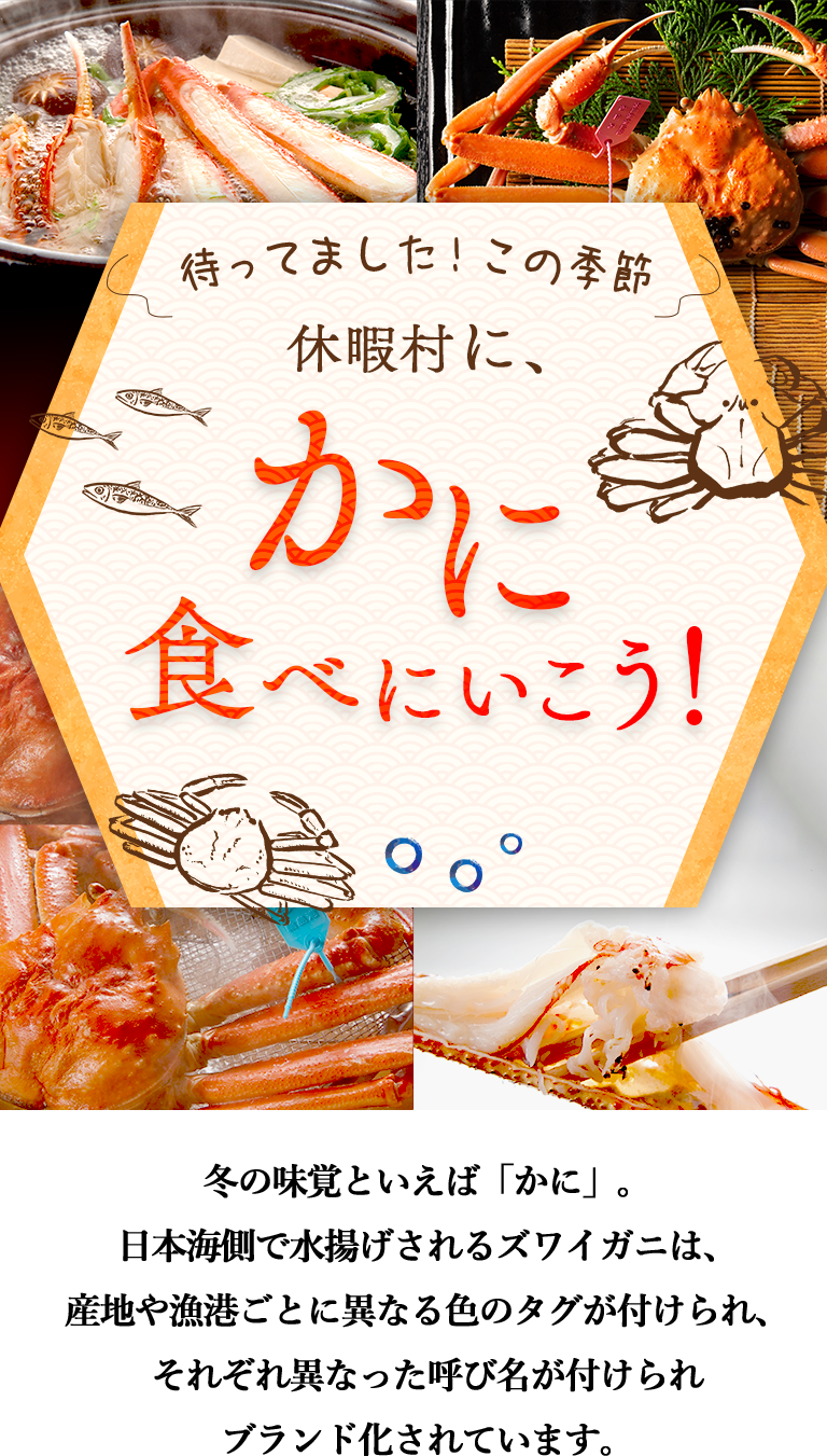 日本海にズワイガニを食べに行こう！