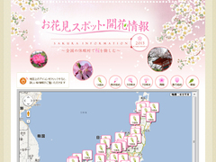 お花見スポット、開花情報の特集ページを公開しました。