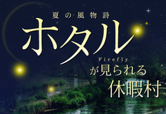 夏の風物詩“ホタル”に会いに行きませんか？