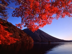 秋はやっぱり紅葉狩り。美しい錦秋の日本はすぐそこです。