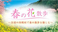 「春の花散歩～Spring Infomation～」アップしました。