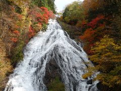 秋はやっぱり紅葉狩り。美しい錦秋の日本はすぐそこです。