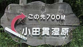 林道へ看板小田貫
