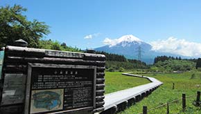 小田貫湿原