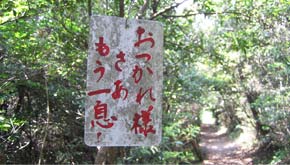 お遍路みちを歩こう