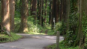 旧月山登拝道入口