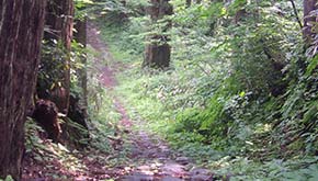 旧月山登拝道・峰中堂