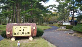 自然牧場公園