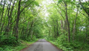旧道を歩く