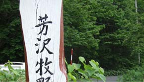 芳沢牧野