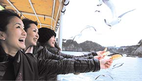 観光遊覧船