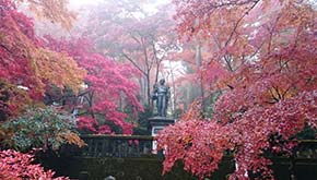 東郷公園