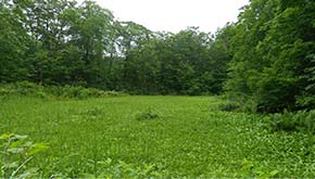 本館から空吹き湿原へ