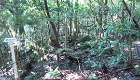 小豆ヶ浜分岐