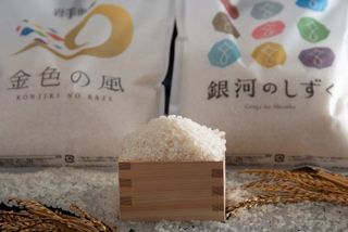 【5/16～7/31限定】いわて純情米「金と銀」選べるブランド米付き宿泊プラン