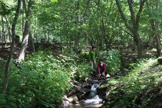 手ぶらで常設テントサイトキャンプ2026<br>食材持込プラン