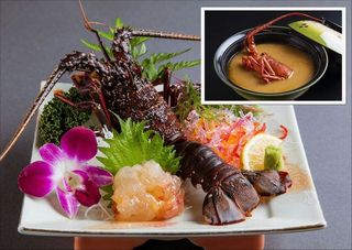 『伊勢海老のお造り＆伊勢汁』付き房総食彩ビュッフェプラン<br>❝プリプリとした食感❞と❝上品な甘み❞が特徴です