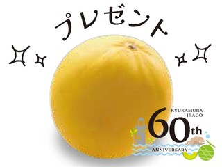 60th Anniversary　1日20組限定【1室1玉プレゼント】<br>＋６０円でメロン付きプラン  ★お子様無料日あり★