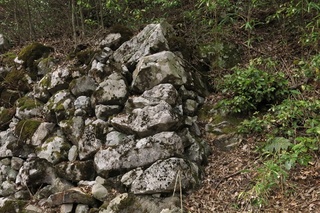 戦国の近江「百名城紀行」小谷城・彦根城・観音寺城・安土城