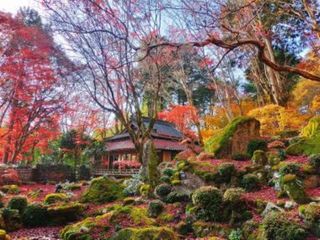 白洲正子の足跡を追う：近江の古社寺を名残の紅葉と共に