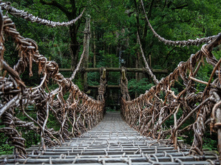 ～ずっと行きたかった秘境旅～<br>淡路島からバスで行く「祖谷のかずら橋」と「大歩危遊覧船」ツアー
