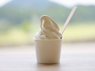 【キッズ得旅無料】～1日5組限定～春休みワクワク！Enjoyファミリー宿泊プラン