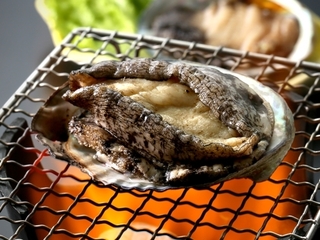 【うさぎの島でプチ贅沢♪】2026年4月～瀬戸内産！アワビの踊り焼き付きビュッフェプラン